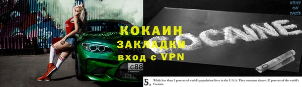 прущие грибы Абдулино