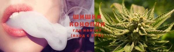 прущие грибы Абдулино