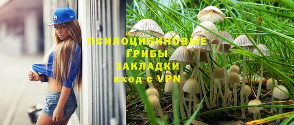 мескалин Абаза
