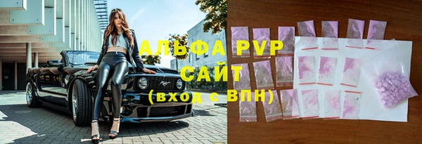 прущие грибы Абдулино