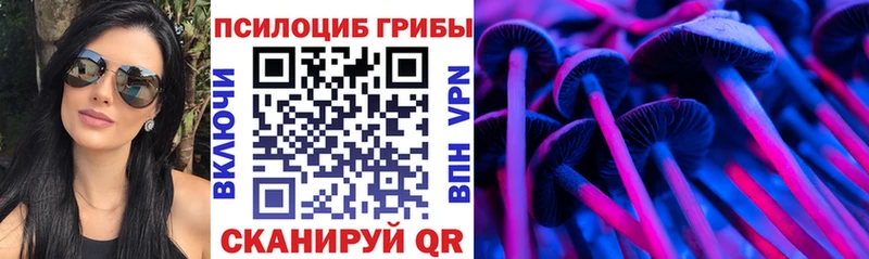 наркошоп  Искитим  MEGA ссылки  Псилоцибиновые грибы GOLDEN TEACHER 
