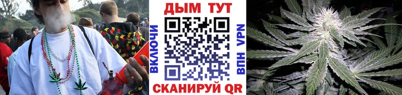 Каннабис сатива  купить   Искитим 